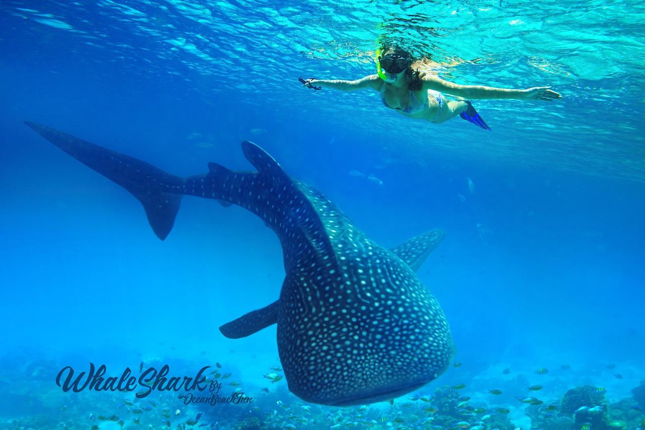 Ocean Beach Maldive Ξενοδοχείο Maldives Εξωτερικό φωτογραφία