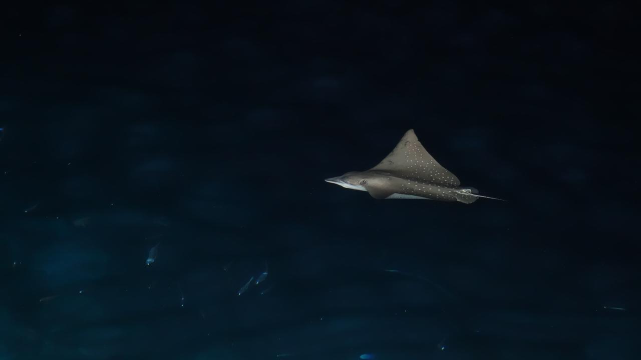 Ocean Beach Maldive Ξενοδοχείο Maldives Εξωτερικό φωτογραφία